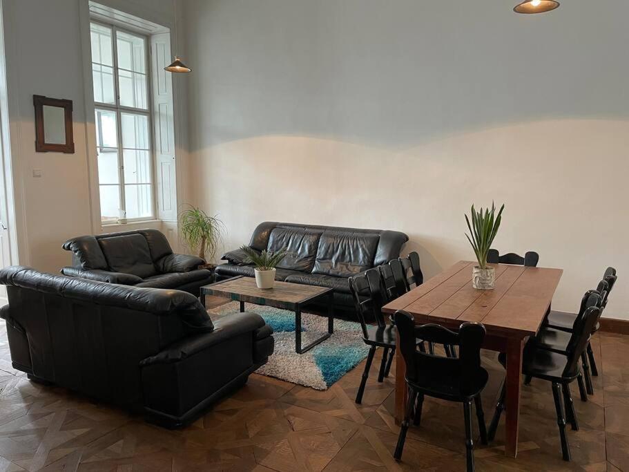 Geraeumige Altbauwohnung Im Zentrum غراتس المظهر الخارجي الصورة